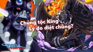 [Giả thuyết]. Chủng tộc của King và lý do diệt chủng?