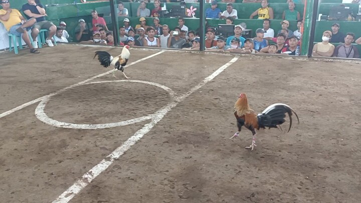 2x winner bulik nagbabalik