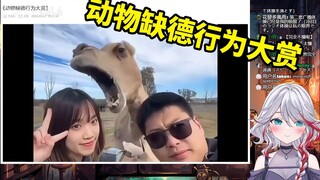 日本天然小姐姐看《动物缺德行为大赏》直呼害怕