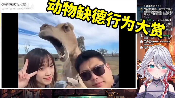 日本天然小姐姐看《动物缺德行为大赏》直呼害怕