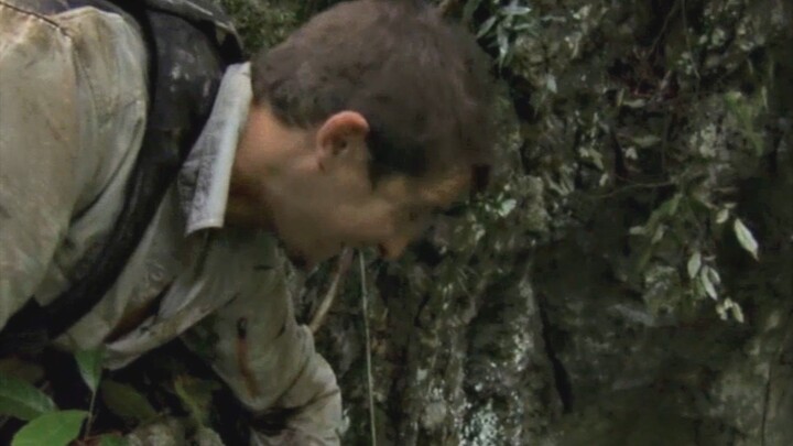 Bear esta tentando sobreviver nessa floresta quando derrepente encontra um buraco a frente