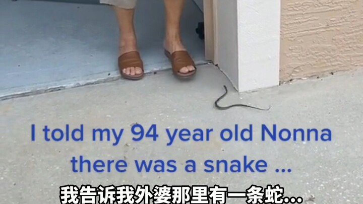 Ketika aku bilang ke nenekku yang berusia 94 tahun bahwa ada seekor ular di depannya 🐍