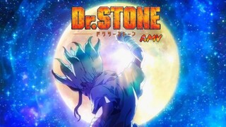 Dr. STONE [AMV]