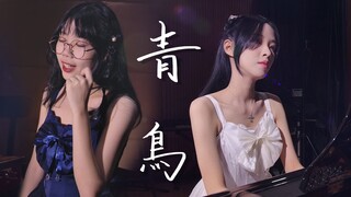 美少女钢琴弹唱《青鸟》-火影忍者OP