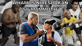 WHAMOS NIRESBAKAN SI MAMMOTH!