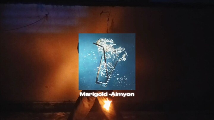Marigold -Aimyon [Wotagei ver.]