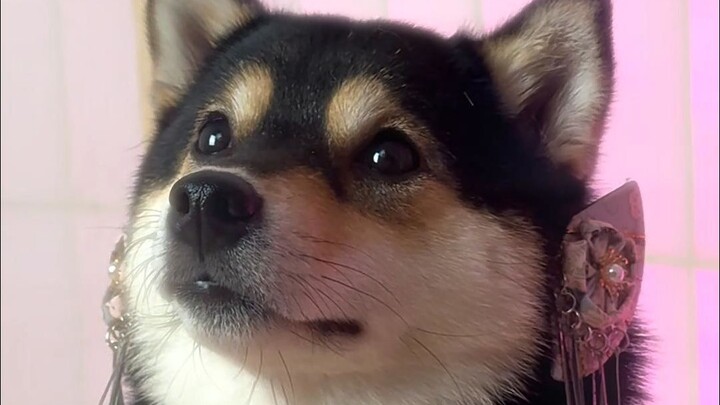 ท้าทายสาวๆจากหลากหลายประเทศ