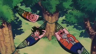 Master Roshi đã dạy Goku và Krillin những gì chỉ trong tám tháng?