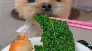 Today I'm eating extra-large rooster shrimp and curly green vegetables.