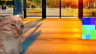 จะเป็นอย่างไร ถ้าคุณสามารถเสกอะไรก็ได้?