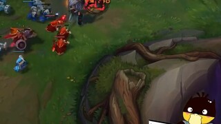 Chó Sư Tử: Tôi thực sự tức giận!