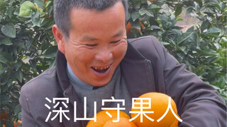 A story inspired by an orange...