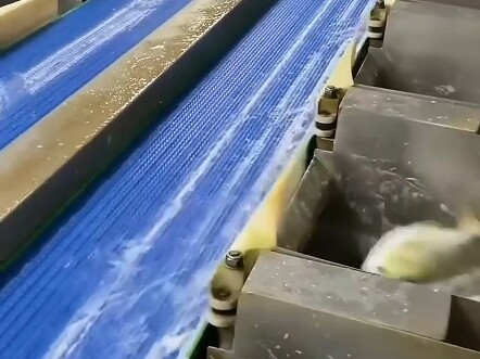 Experience the Beauty of 15 Types of Machinery!