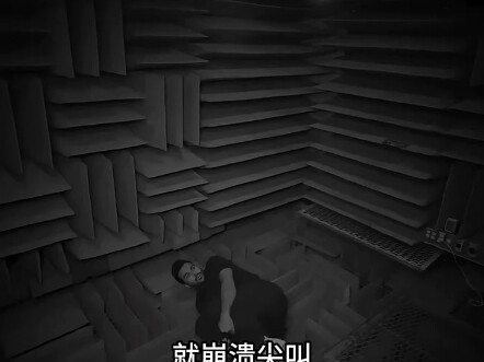 500万睡一晚！世界最安静房间，敢挑战的都是狠人！