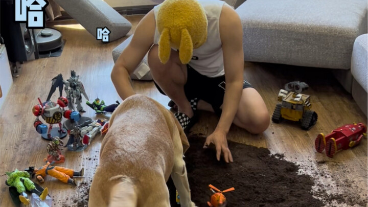 You Doing Chores vs. How Your Parents See You