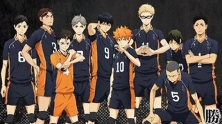 Maybe This Will Only Be Recommended To The People Who Truly Love Haikyuu!!