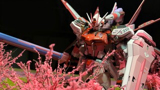 ติดตาม Cagalli เพื่อเพลิดเพลินกับดอกไม้ ~ ฉากพ่นสีและแสงของ MG Yanhong