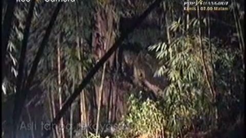 seseorang pria merekam sosok penampakan