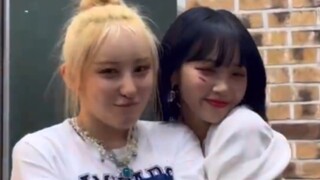 李彩演 x 金采源《KNOCK》舞蹈视频公开！