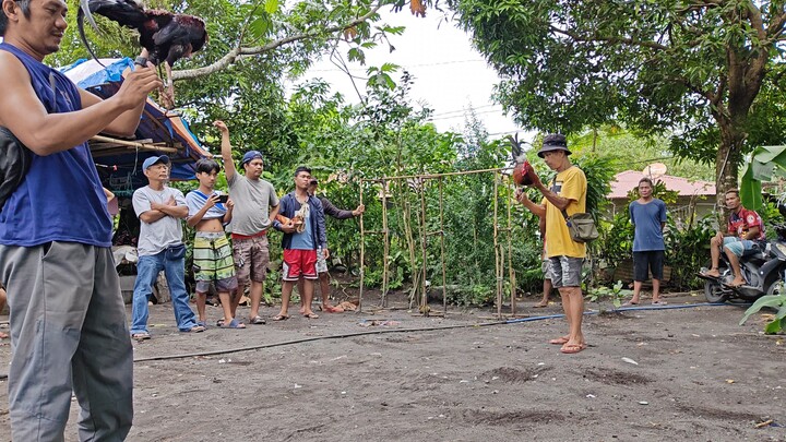 Alimbuyugin 2x Winner (Draw) sa pangatlo laban