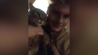 funny dog cat 2022 pet animals haihuoc vuinhon