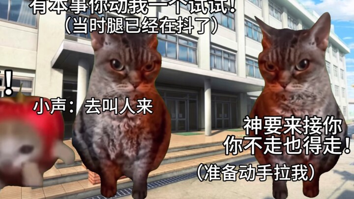 【猫meme】小学差点被陌生老人拐走当祭司（？）