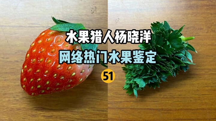 【صياد الفواكه】 تحديد الفواكه الشائعة على الإنترنت 51