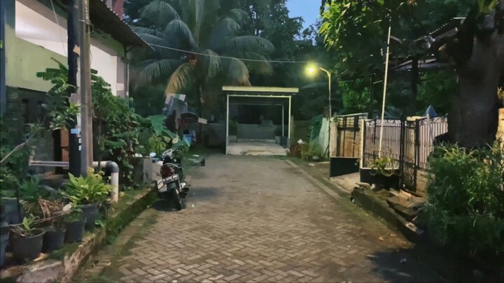 Pure Video 1