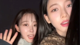 Last year's nonsense, this year's first snow, I will always love the vibrant vitality of sister line