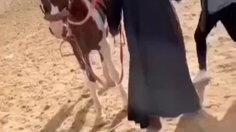 first time on horse