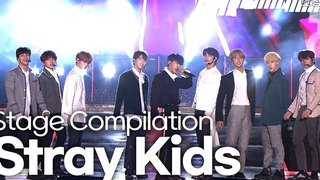 走向世界！KBS自制表演名家StrayKids舞台合集 | KBS最新更新