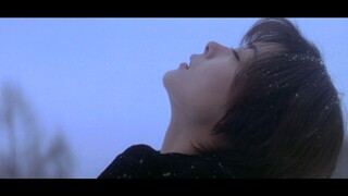 【Love Letter】Fu Lu Shou "Horse"