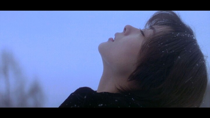 【Surat Cinta】Fu Lu Shou "Kuda"