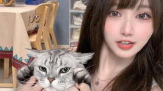 Mau pelihara kucing? Meong meong meong~