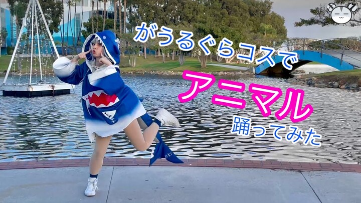 [hamu_cotton] Gawr Gura Cosplay ANIMAL Dance Cover