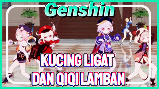 Kucing ligat dan Qiqi lamban
