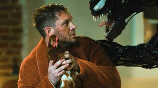 Venom: Jika Anda berani menyentuh ayam saya, saya akan menghancurkan TV Anda!