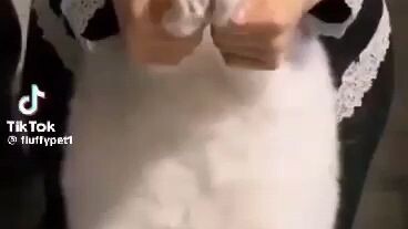 CTTO