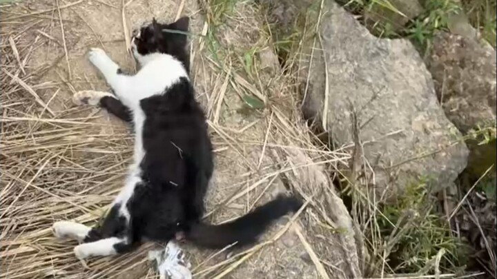 Hakimi died just one second before he was officially adopted.