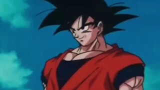 จะเกิดอะไรขึ้นถ้าชื่อฟอร์มของ Kakarot ยาวเกินไป?