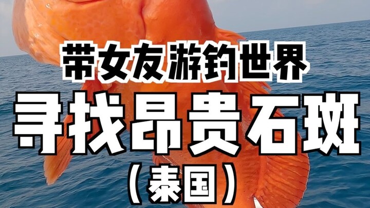 Handsome guy takes his girlfriend to a Thai island in search of expensive deep-sea grouper…