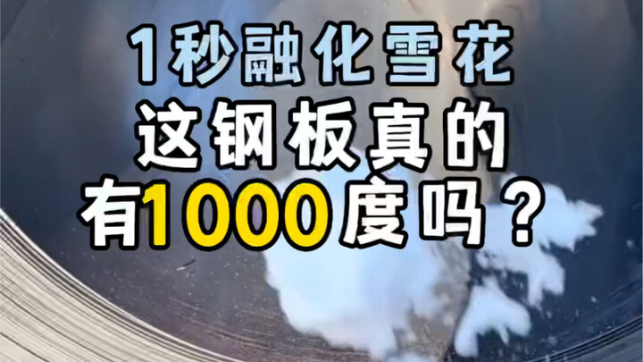 Steel Plate at 1000 Degrees, Episode 2: Is it Really 1000 Degrees? What Will Happen When You Put Ice