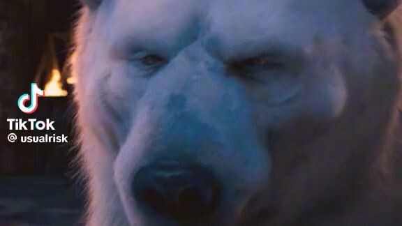 #BilibiliLegendaryCreatorEdition2