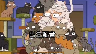 【恶搞之家】【中配】爱♂猫人士gigity