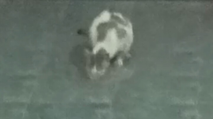 Recorder 02082025_224010 Mts