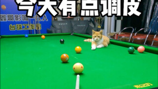 اليوم مرح بعض الشيء ها