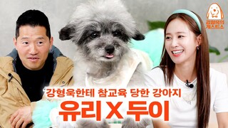 (EN)소녀시대 유리네집 서열 1위 등판. 하지만 강형욱한테 참교육 당하고 감. [강형욱의개스트쇼] EP.10