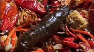 Văn Thiên Nhân tuyệt vọng [Hành trình bất tử của phàm nhân]