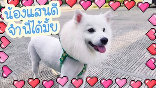 โลกของแสนดี ตอน พี่ชายที่แสนดี..