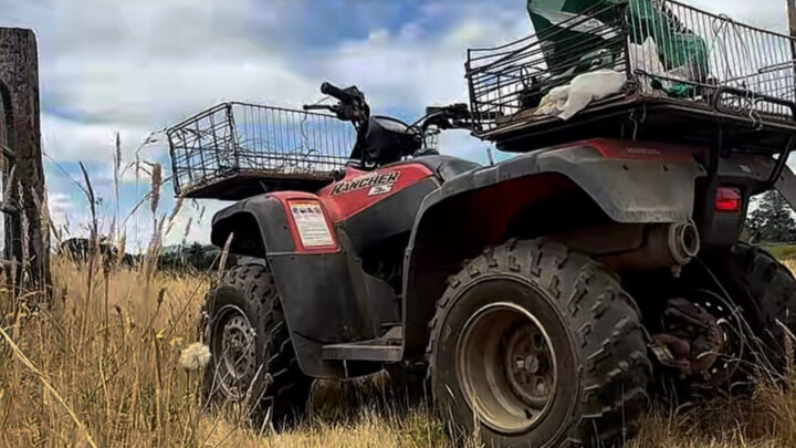 A Country Hick’s Life